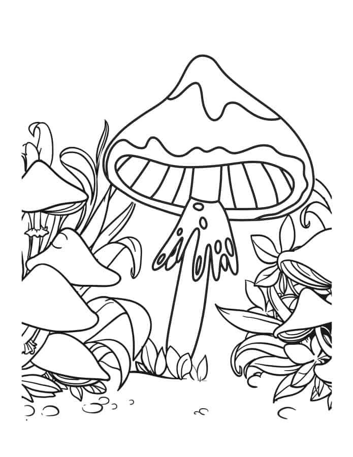 Detailed mushroom page drawing of many mushrooms ins forest.
