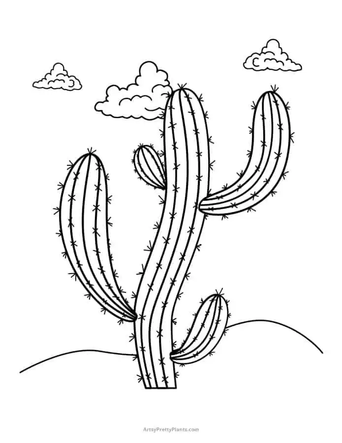 A coloring page of a saguaro cactus.