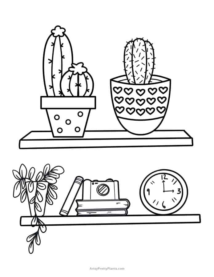 Pdf to color of wall shelves with cactus pots on them.