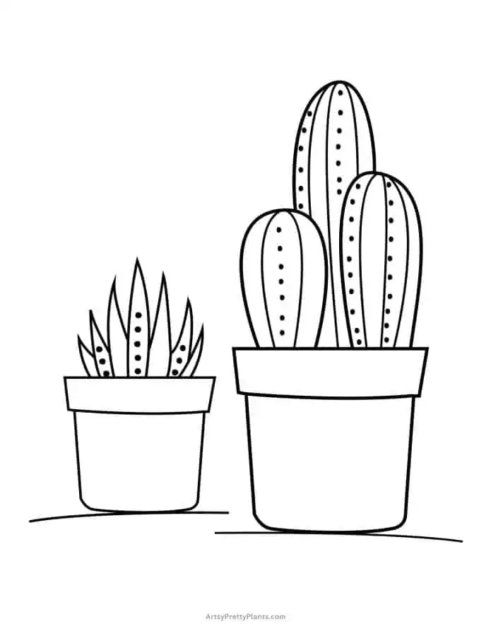 Coloring sheet of two pots with different types of cactus in them.