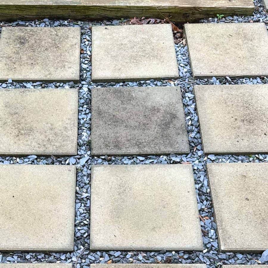 A dark and moldy paver before it has been cleaned.