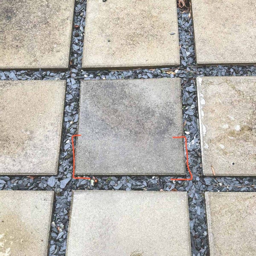 A moldy paver with the bottom section looking mildly cleaner.