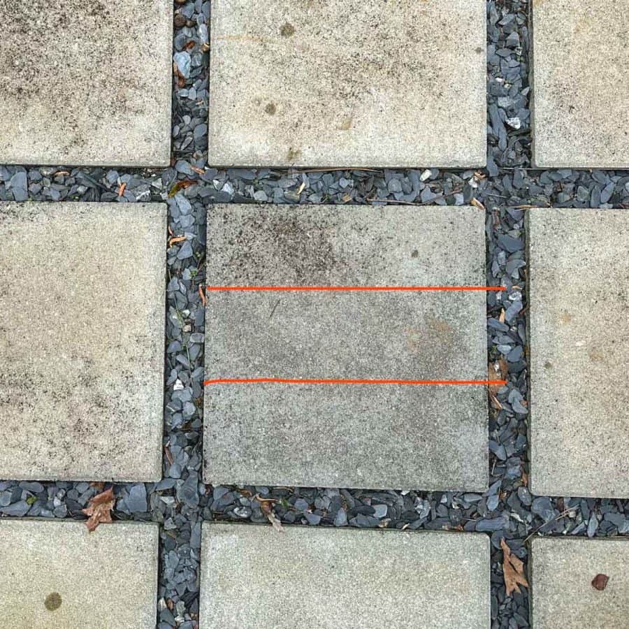The middle section of a paver with mold mildly cleaned off.