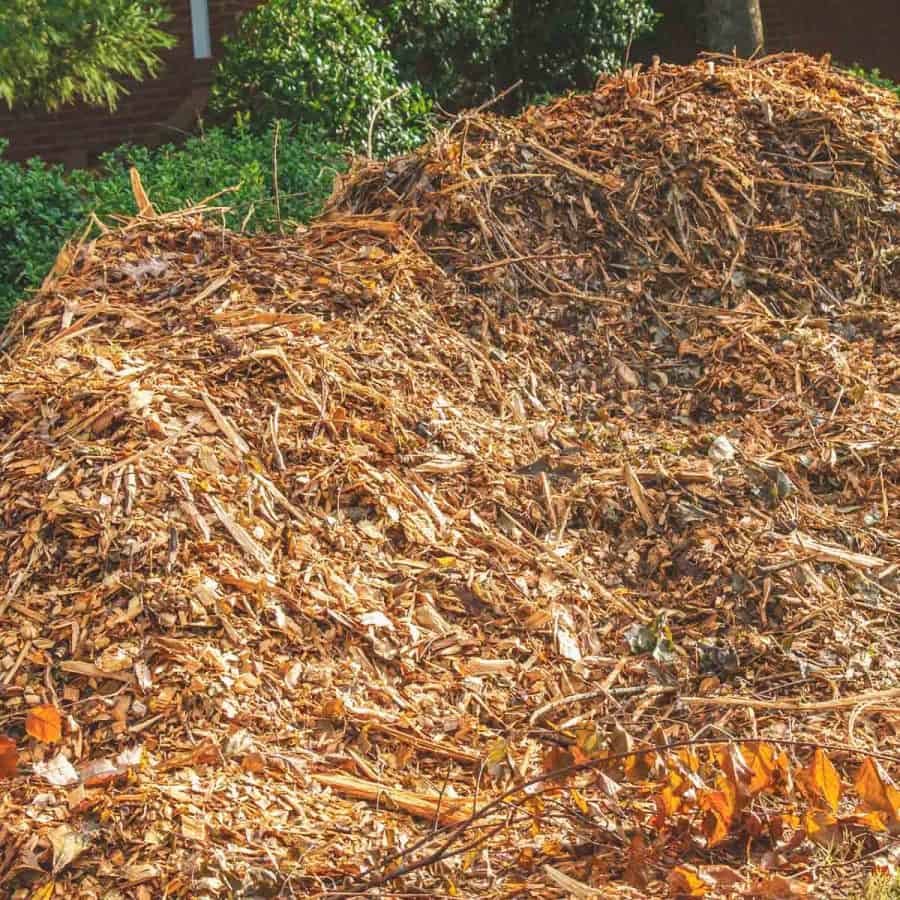 A pile of composted branches, in a yard, with wood chips ready to be used for mulch compost.
