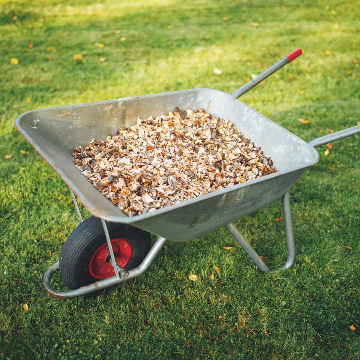 Are Wood Chips Good For Compost (The Benefits) Artsy Pretty Plants