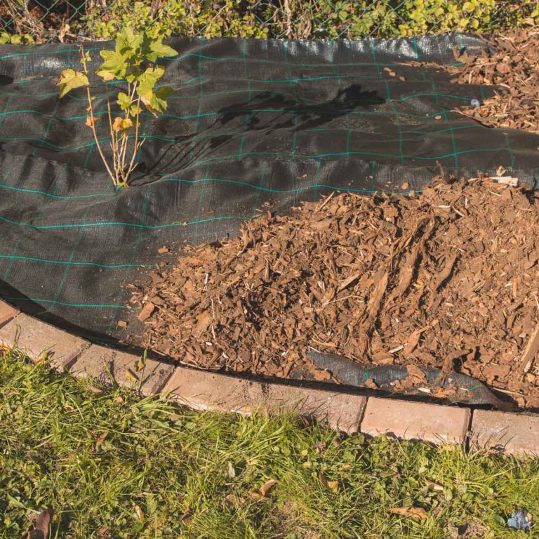 Are Wood Chips Good For Compost (The Benefits) Artsy Pretty Plants