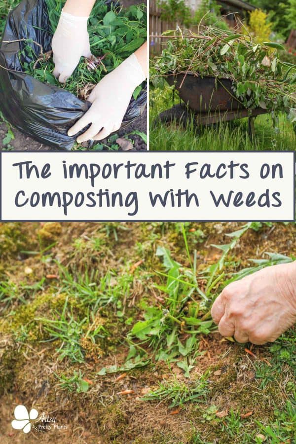 Text saying "the important facts to know about composting with weeds", and 3 images: one hand pulling a weed, a wheelbarrow full of weeds and hands placing weeds into a plastic bag.