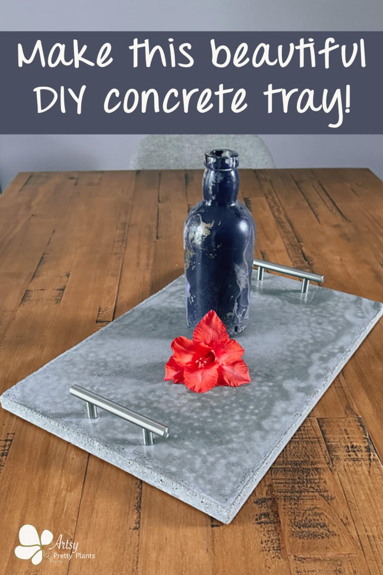 Make A DIY Concrete Tray Detailed Tutorial, Expert Tips Artsy Pretty Plants