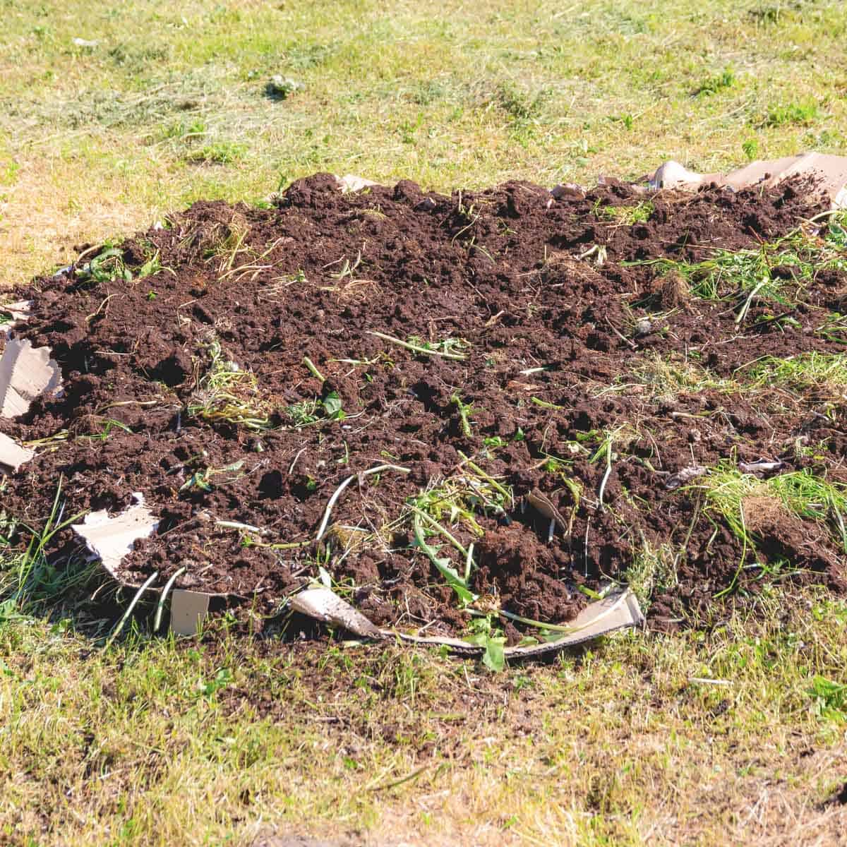 How To Compost Cardboard Our Best Tips Artsy Pretty Plants