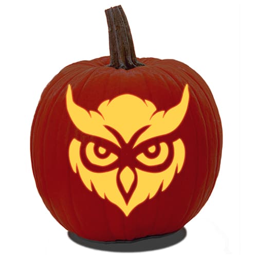 A owl pumpkin carving pattern of the head only.