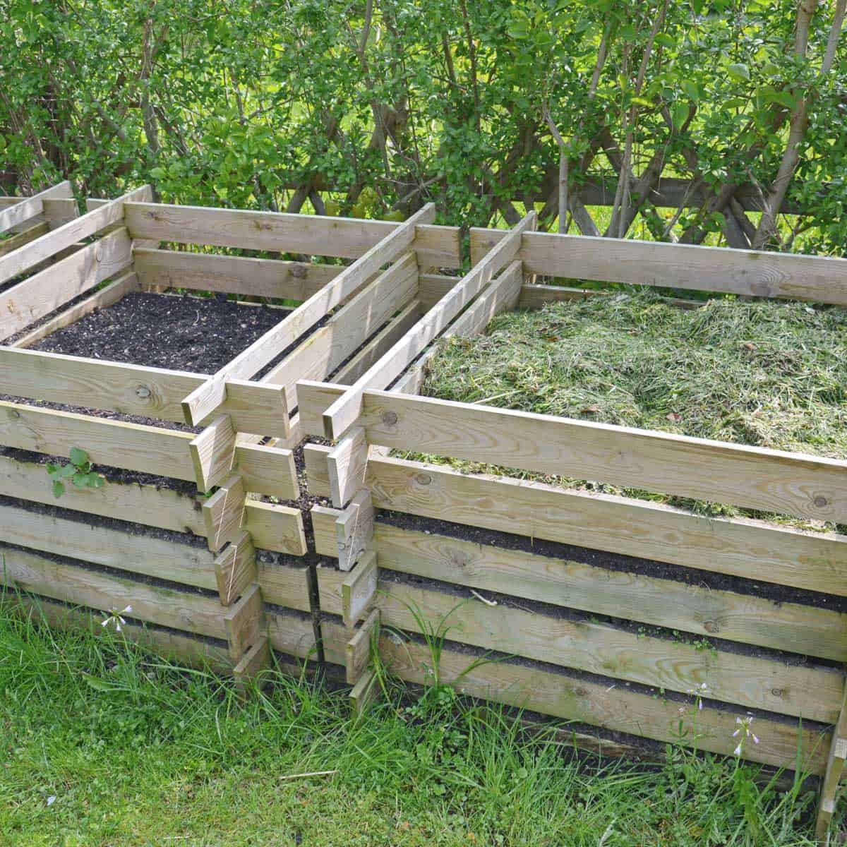 Compost bins located in an ideal location in a partially shaded area.