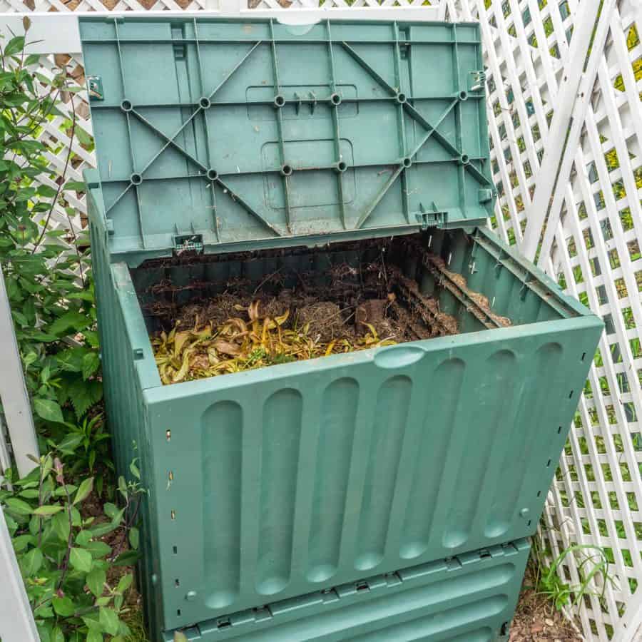 A compost bin concealed by a lattice fence.