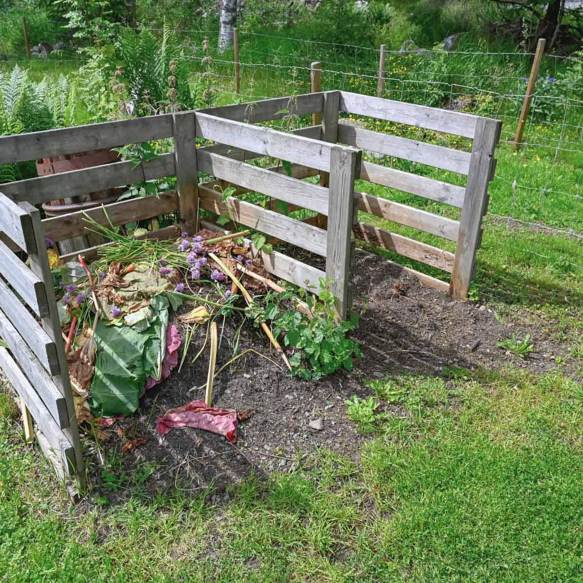 Where To Place A Compost Bin: The Best Location - Artsy Pretty Plants