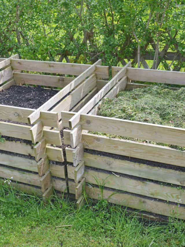 Where To Place A Compost Bin: The Best Location Story