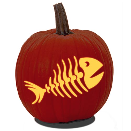 A carved pumpkin of a fish skeleton design from PDF fish pumpkin carving pattern.