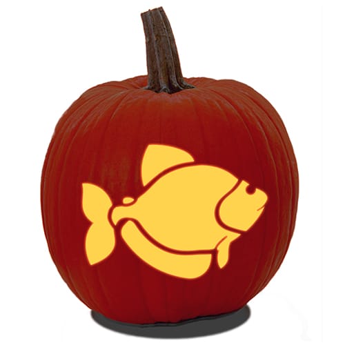 A carved pumpkin of a fish outline design from a fish pumpkin carving pattern.