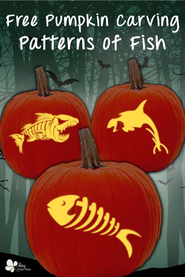 3 glowing carved pumpkins with designs from printable fish pumpkin carving patterns.