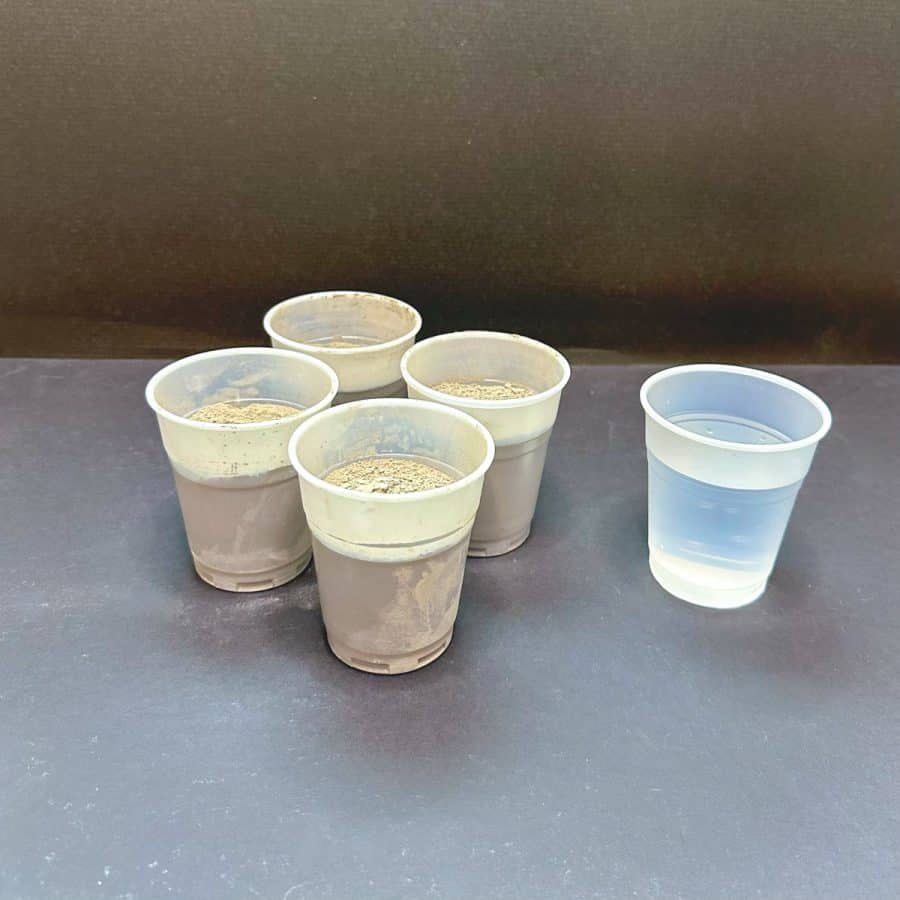 Four cups of cement and one cup of water next to each other showing correct ratio for mix.